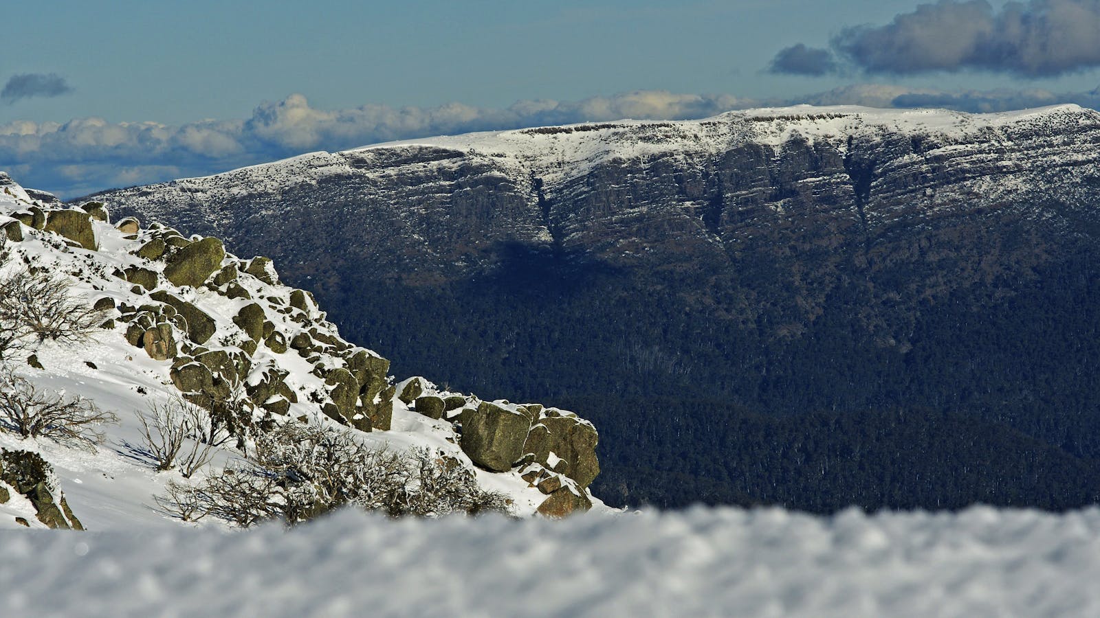 Mt Stirling Alpine Resort