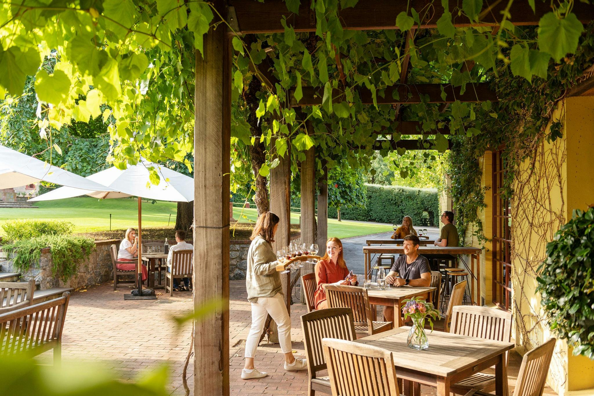 Yalumba Winery
