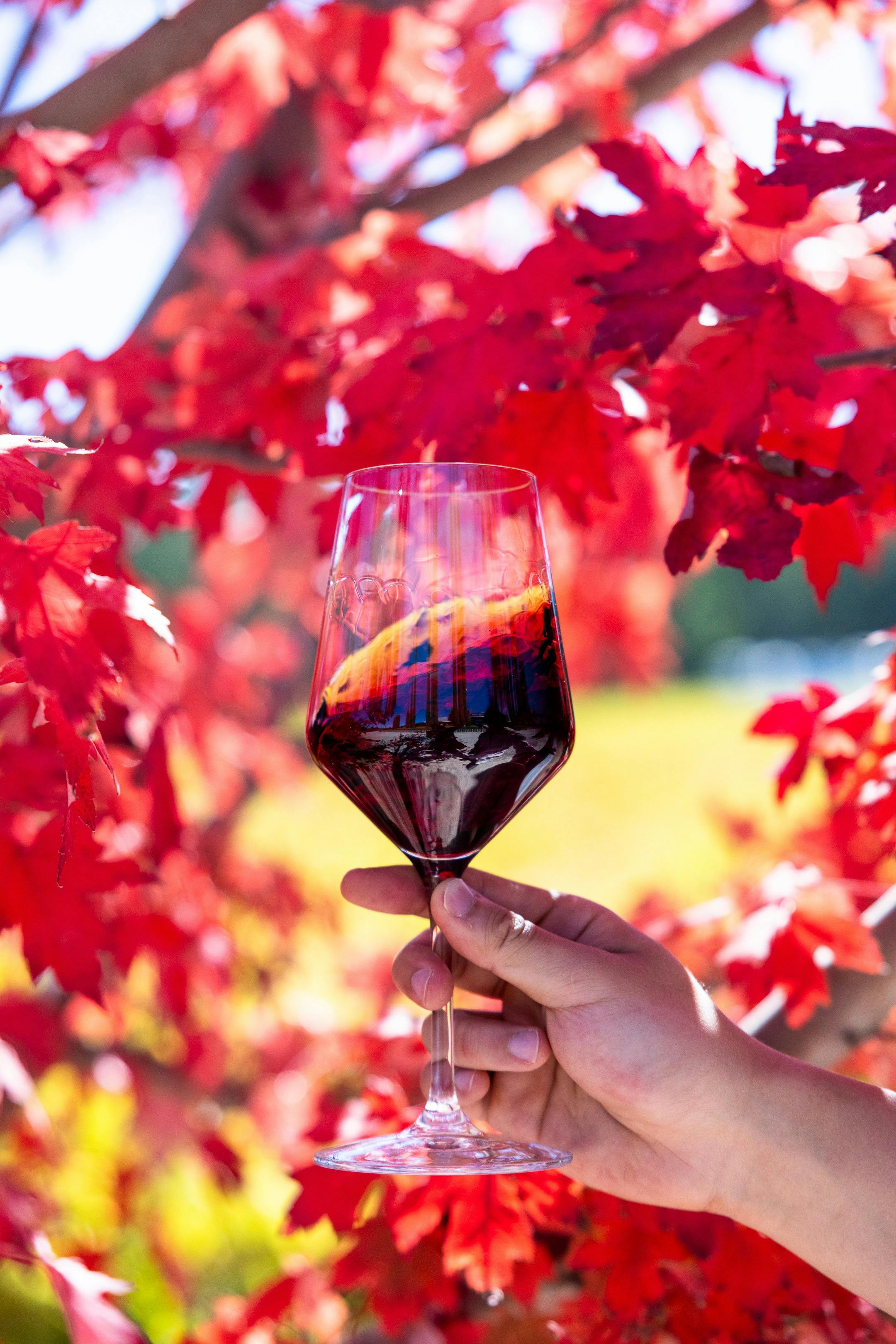 Beresford Emblem Grenache