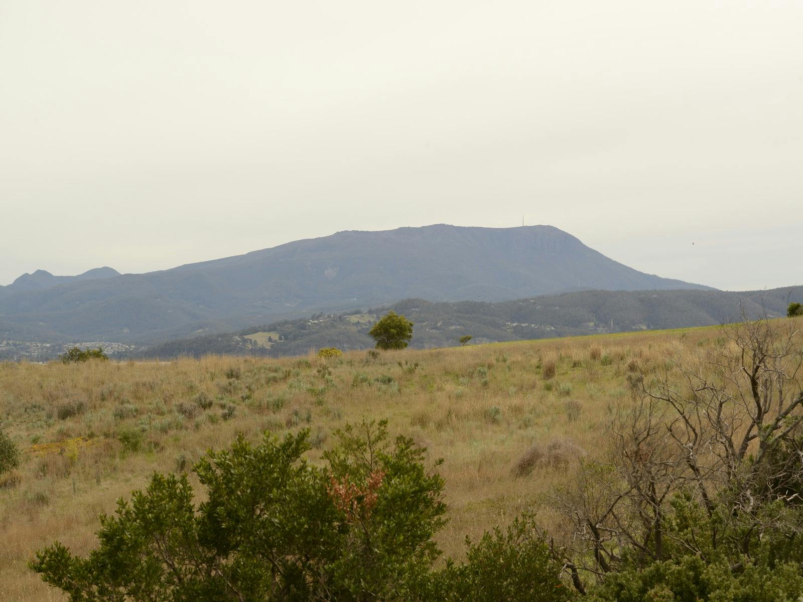 South Arm Peninsula Trail 1