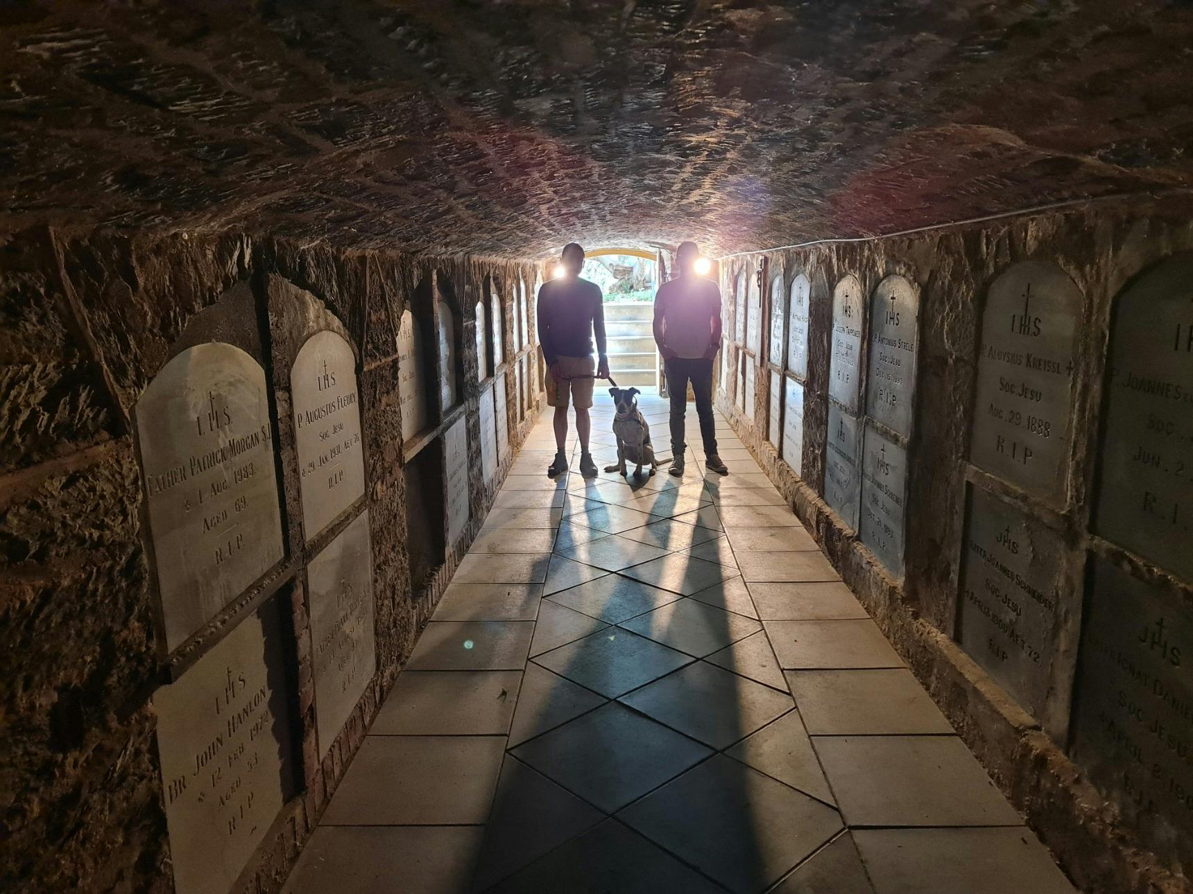 A dog friendly tour with a dog and his family