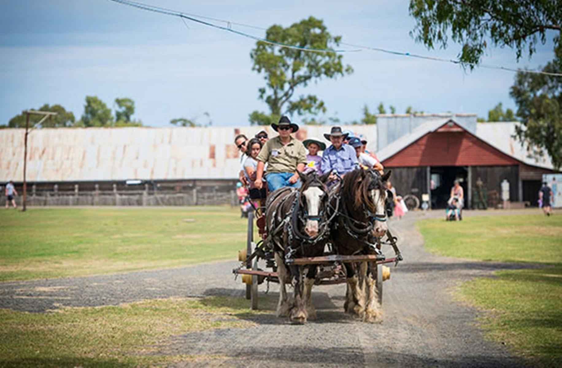 Wagon rides at the Jondaryan Woolshed