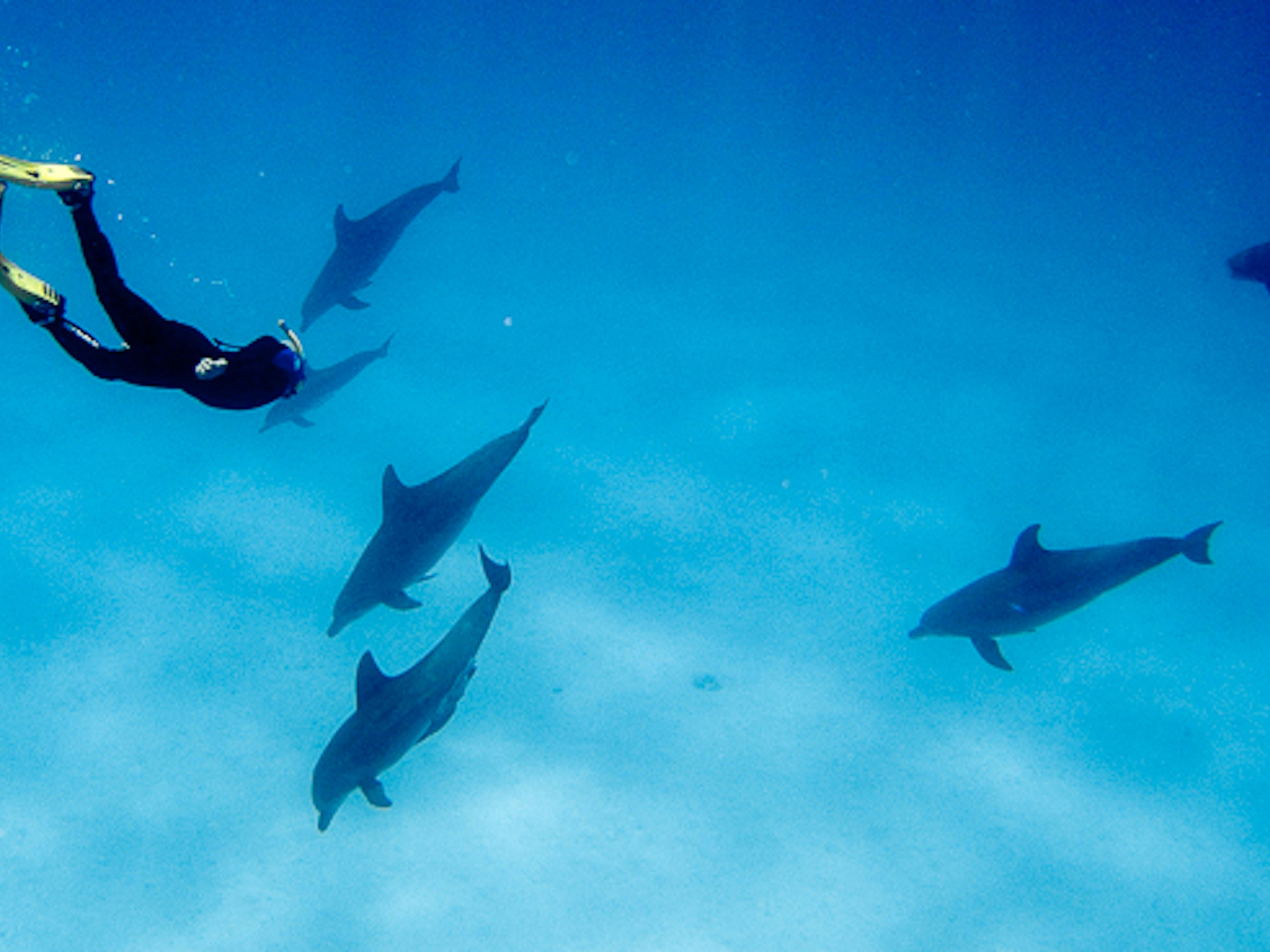 Cocos (Keeling) Islands