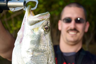 Sole/Group Charter Full Day