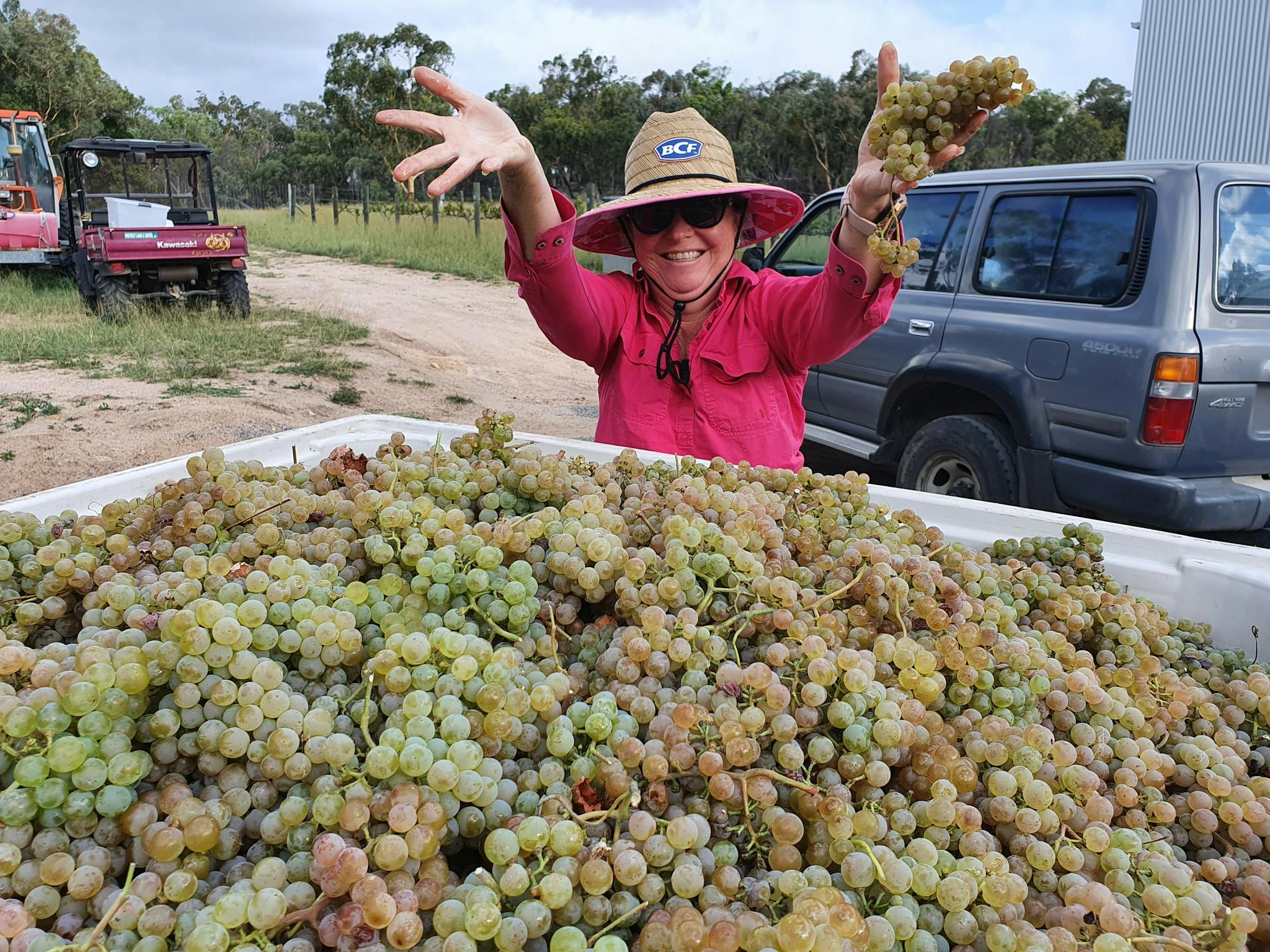 Granite Belt Wine Alvarinho Granite Belt Wine Alvarinho