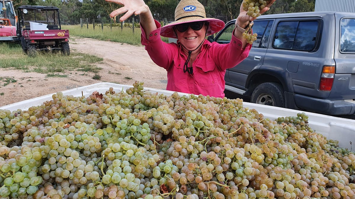 Granite Belt Wine Alvarinho Granite Belt Wine Alvarinho