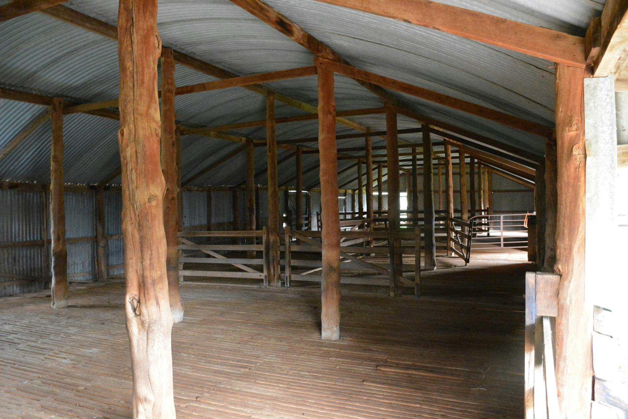 Catching Pens inside Oolambeyan Shearing shed