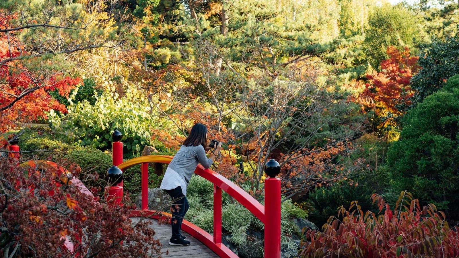 Japanese Gardens