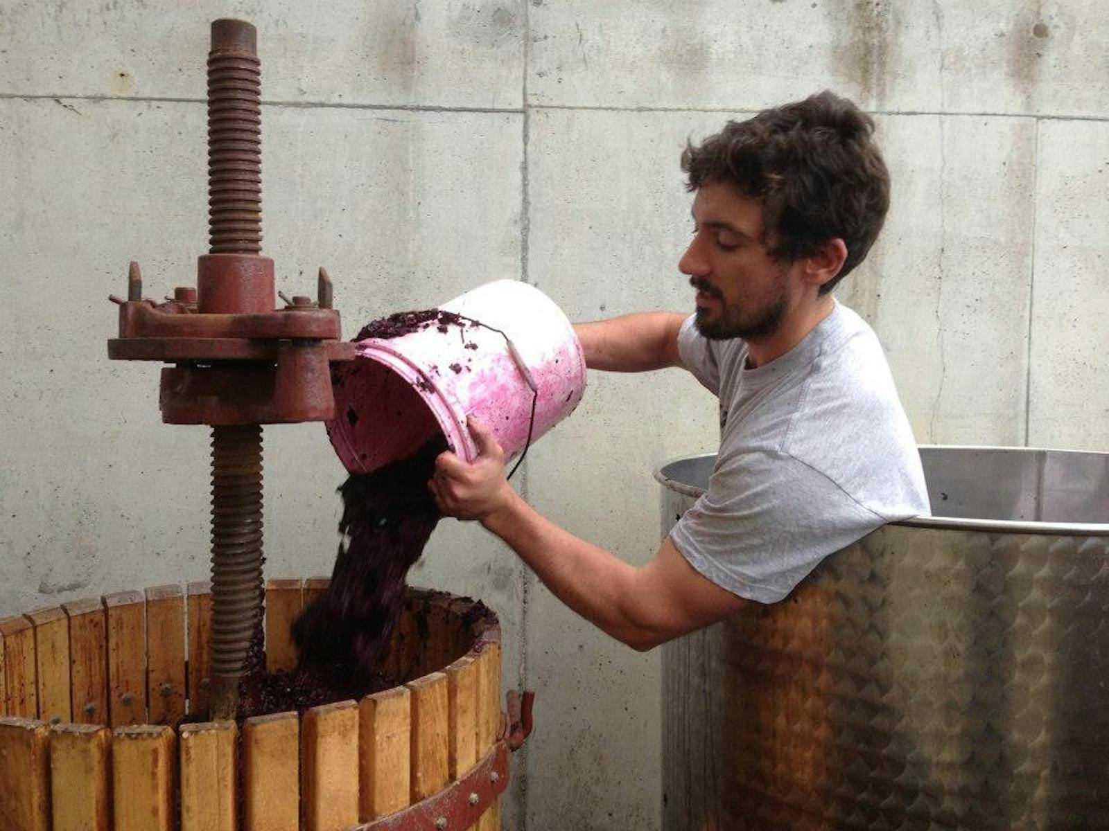 Express Winemakers