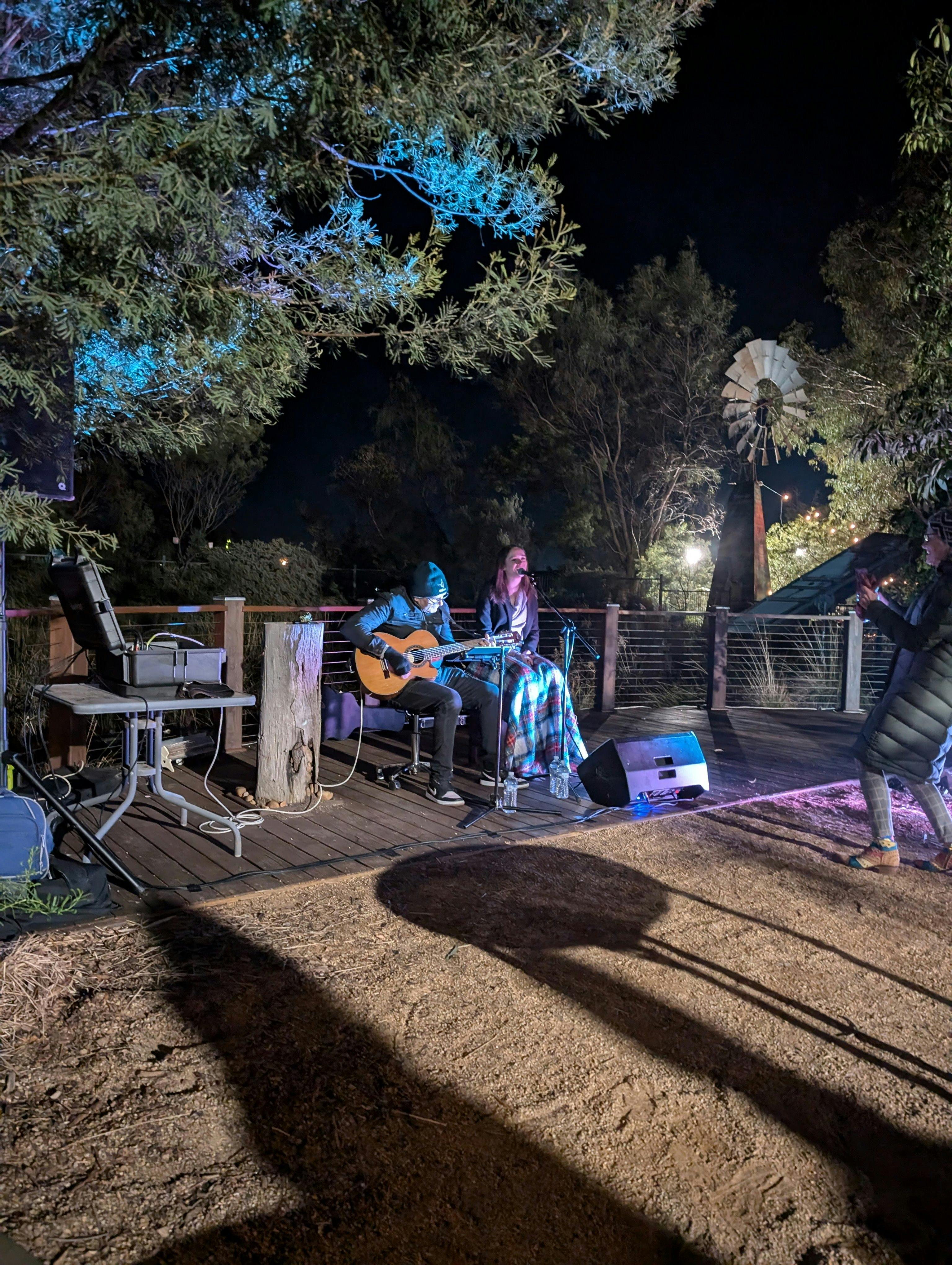ErinEarth Winter Night Festival