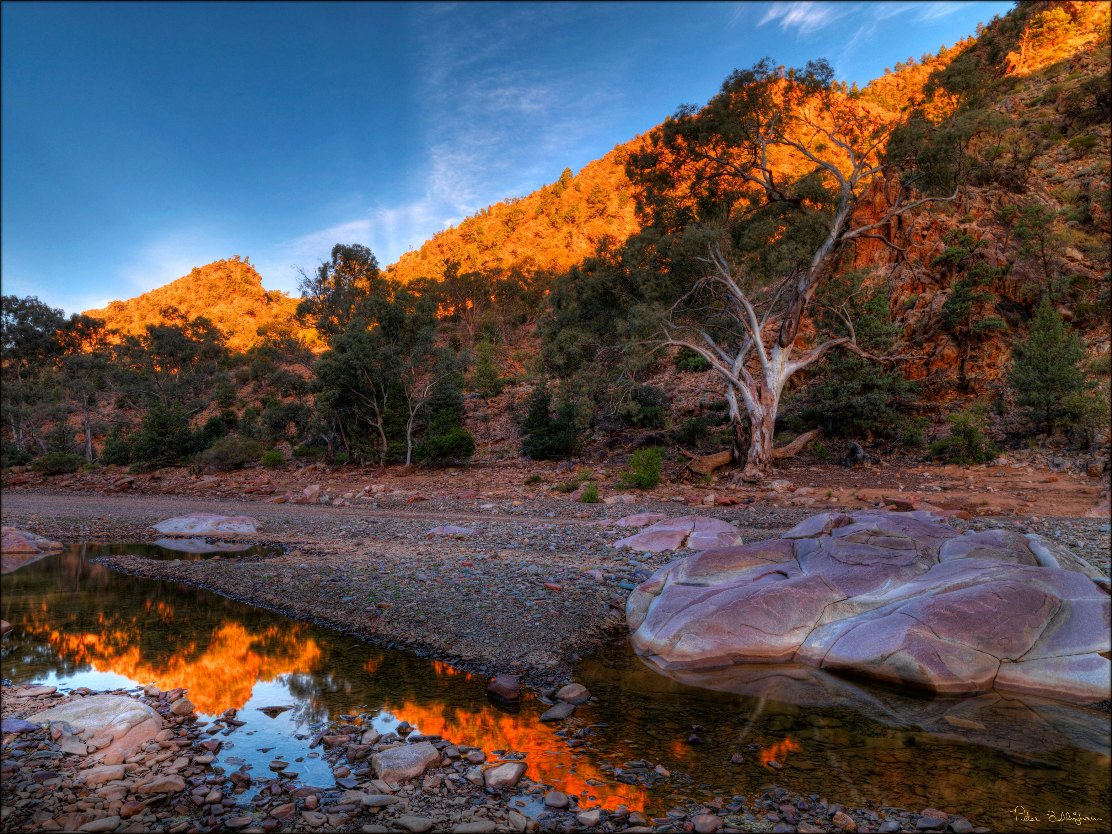 Flinders Ranges - Brachina Gorge