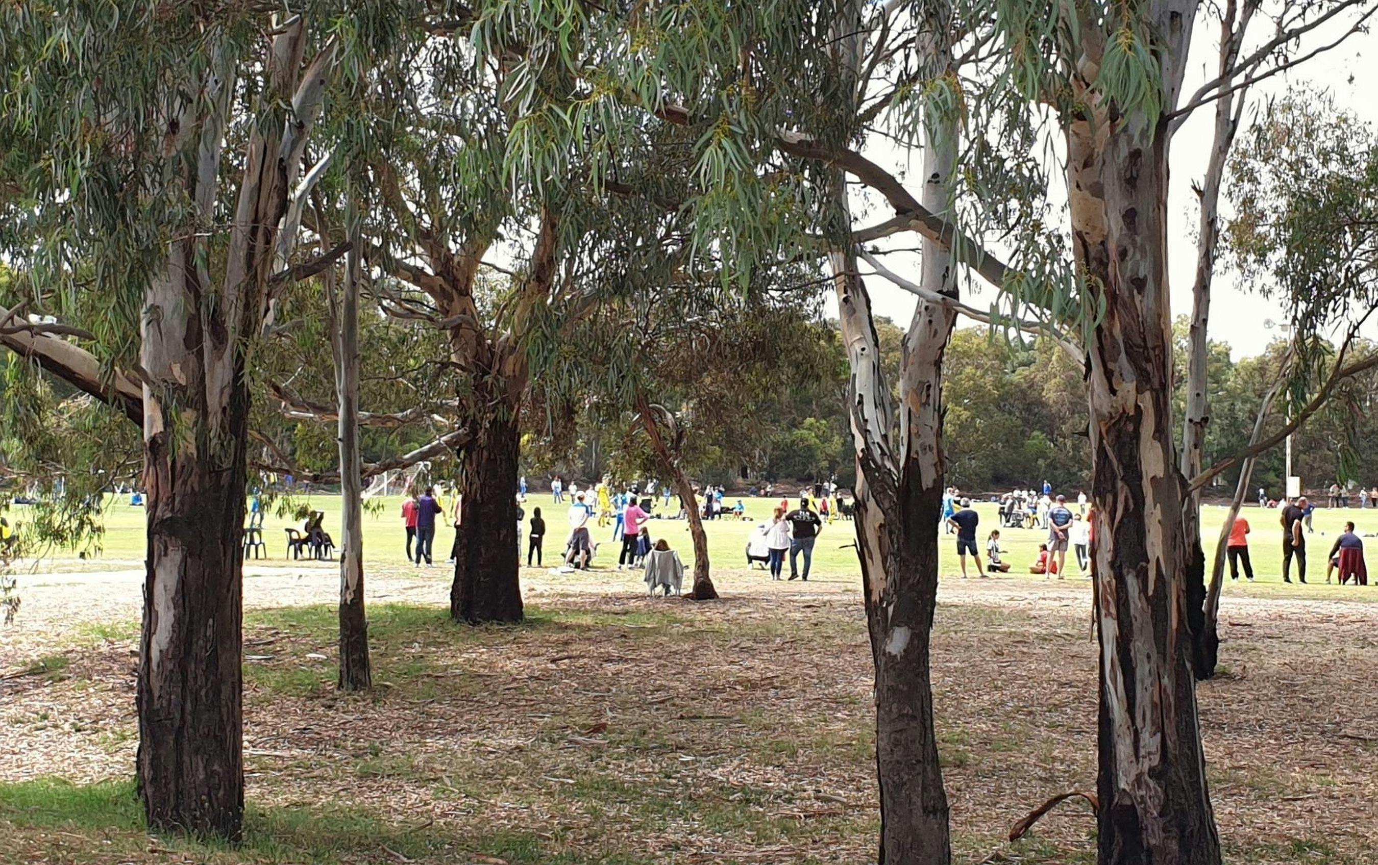 Soccer fields in Mary Lee Park (Park 27B)