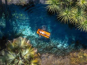 Aerial view of a woman floating on a inflatable in the Mataranka thermal pool