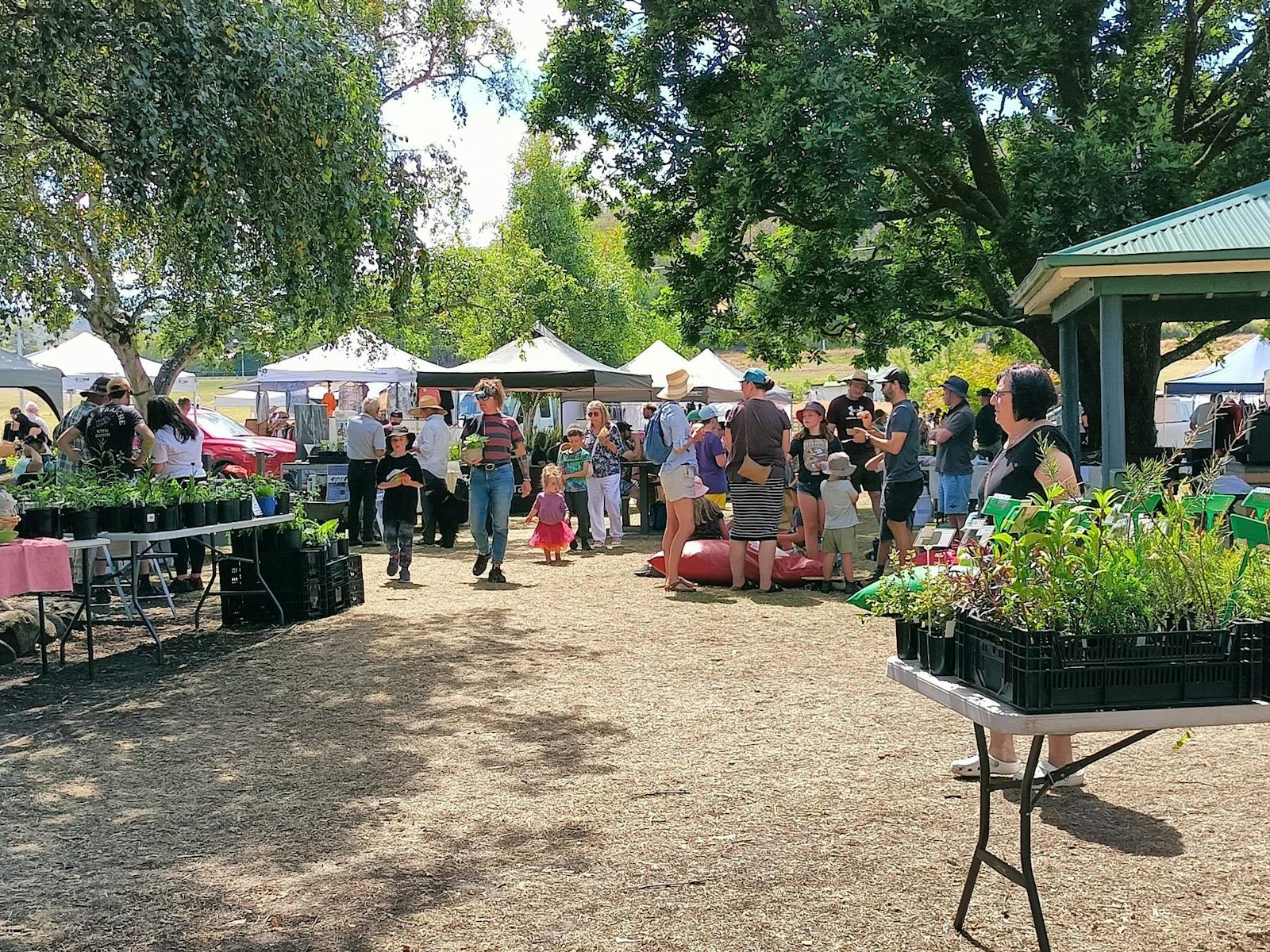 Judbury Market