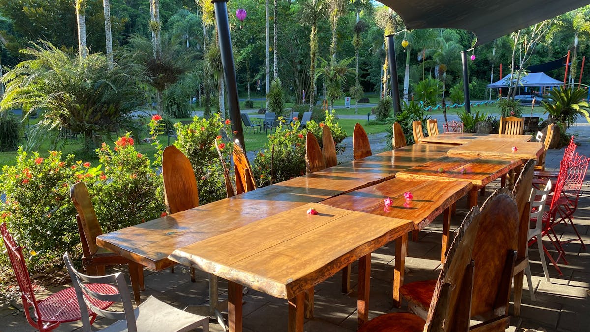 Timber long table in sunlight surrounded by trees