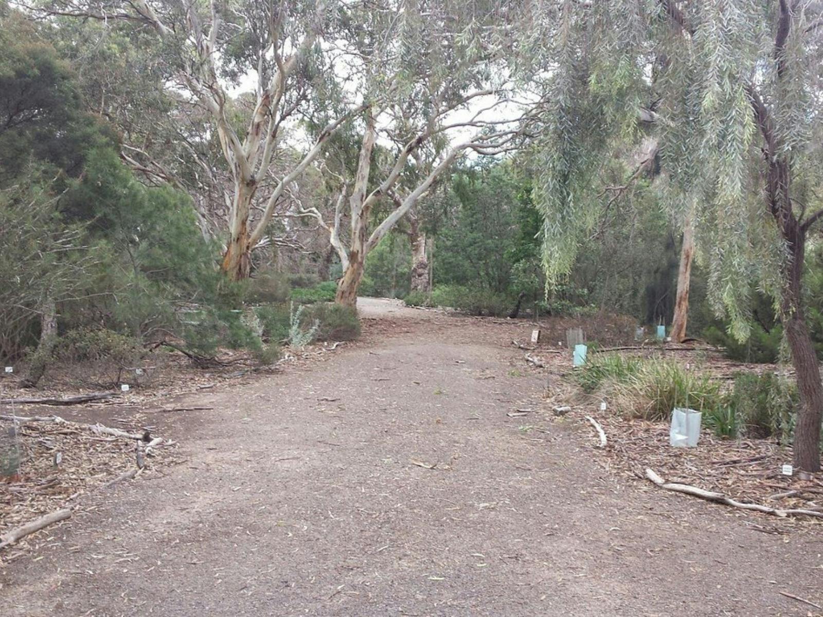 Nangawooka, Victor Harbor