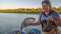 Fish Catch on Albert River