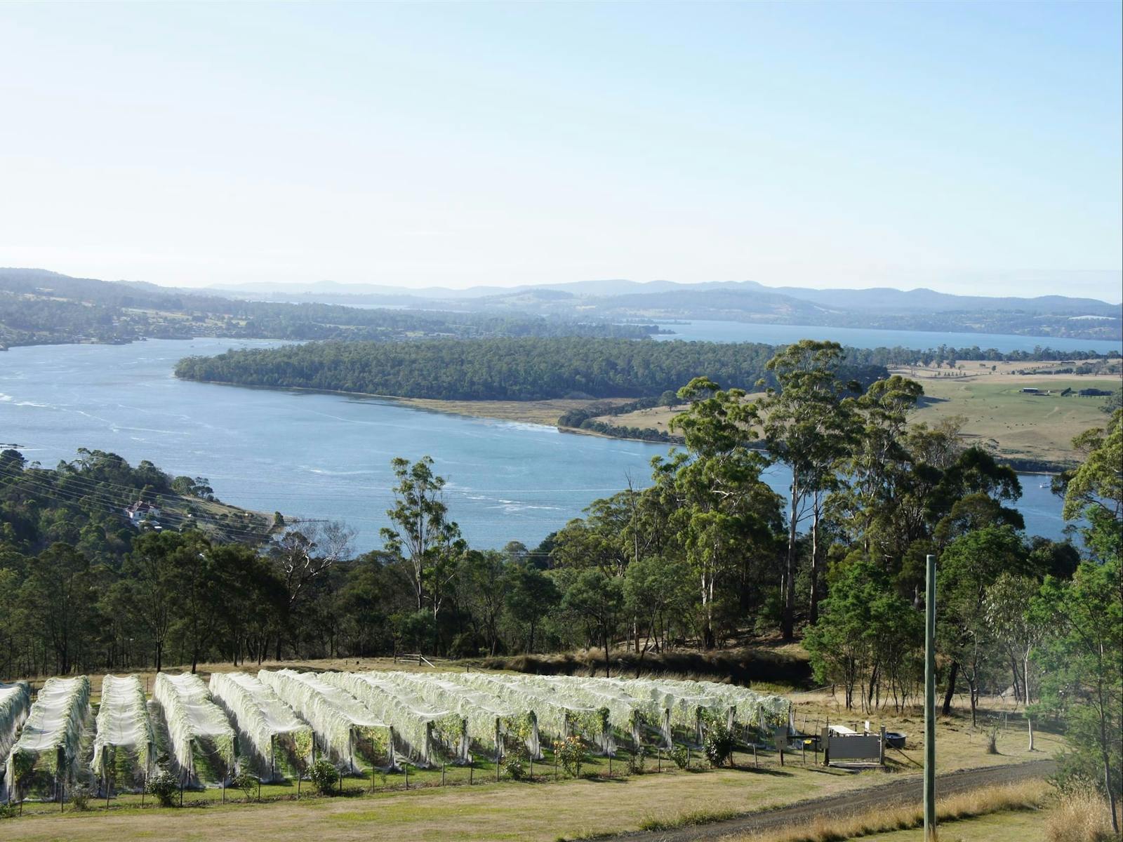 Scenic winery on the banks of the Tamar River