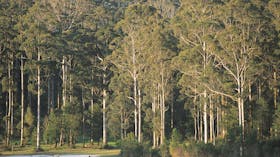 Big Brook Dam, Pemberton, Western Australia