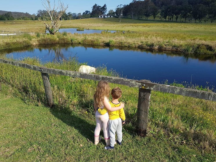 Down by the dam at Karinya