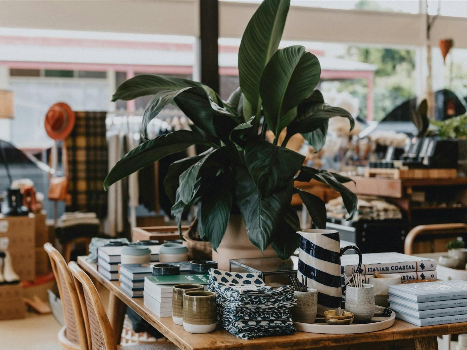 Brimming with practical treasures, curated by potter and retailer, Shelley Panton