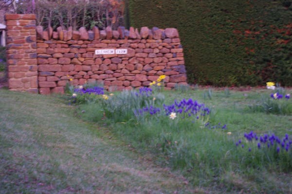 Blenheim Gallery and Garden
