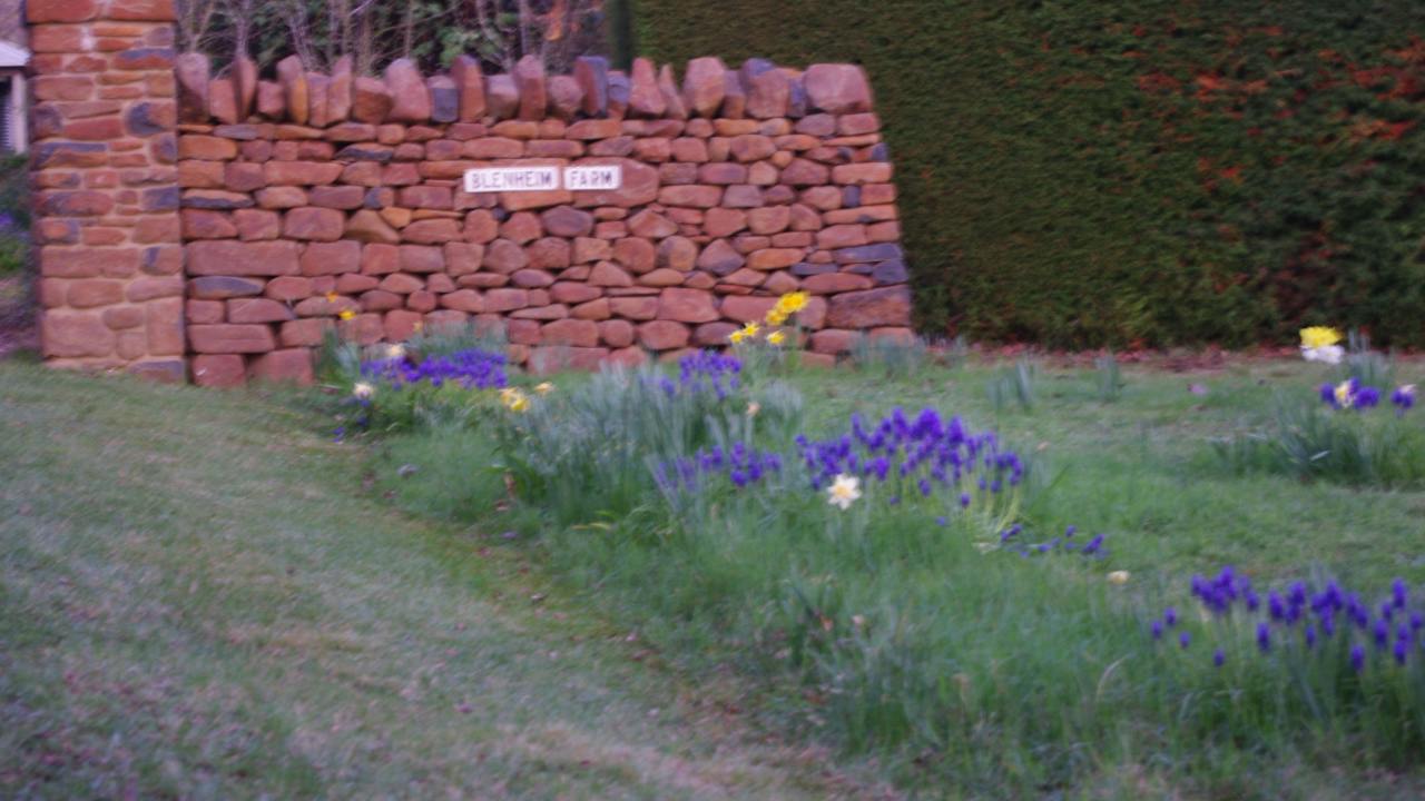 Blenheim Gallery and Garden