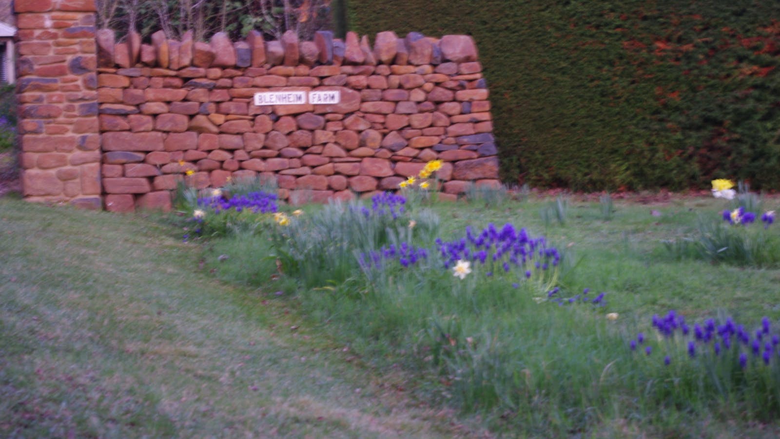 Blenheim Gallery and Garden