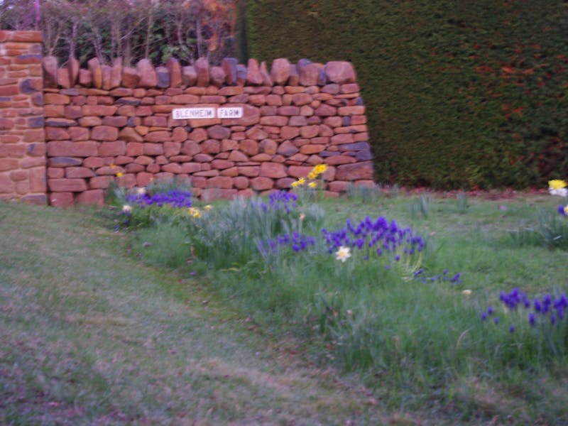 Blenheim Gallery