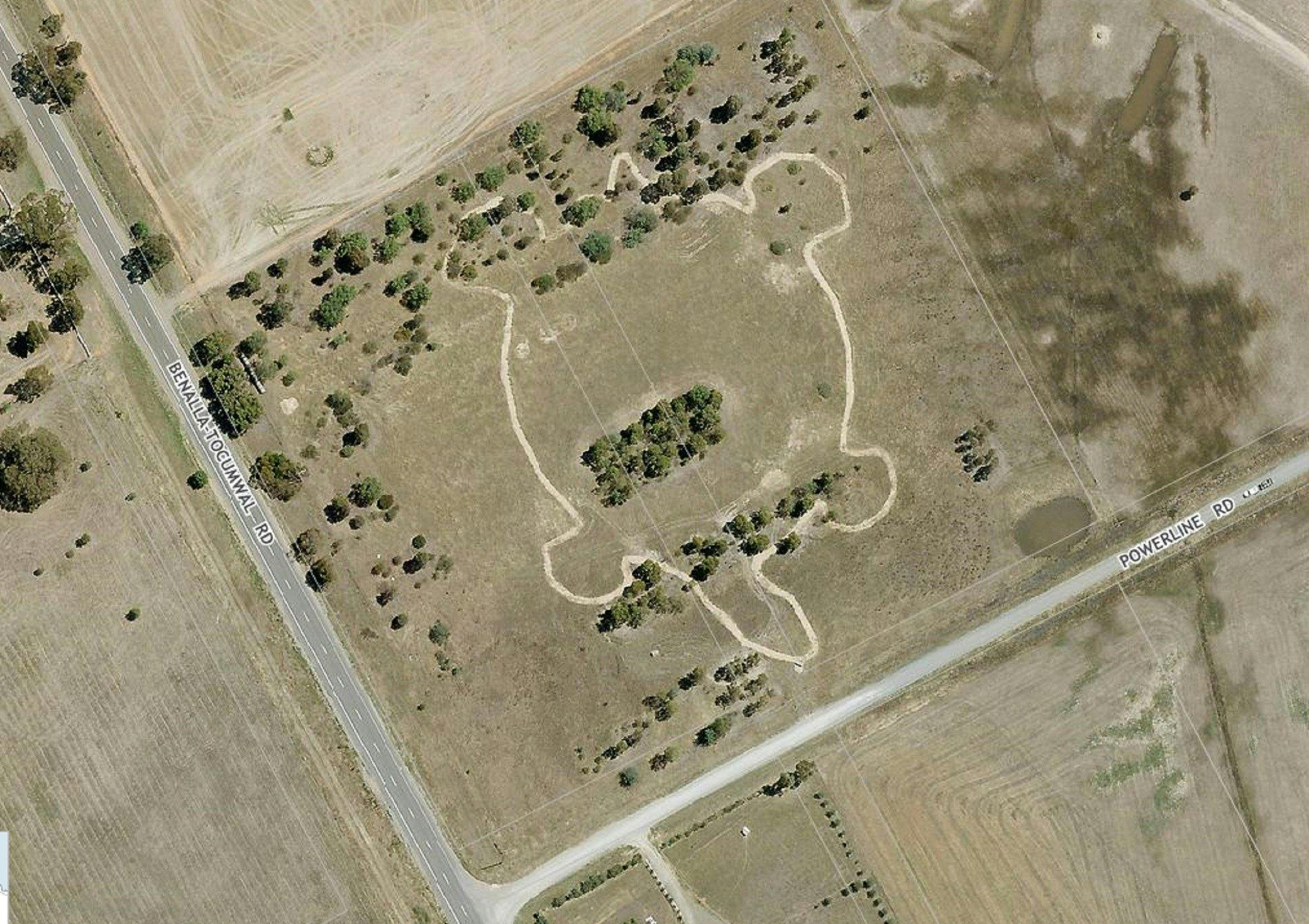 Turtle Path at Peter Kennedy Reserve