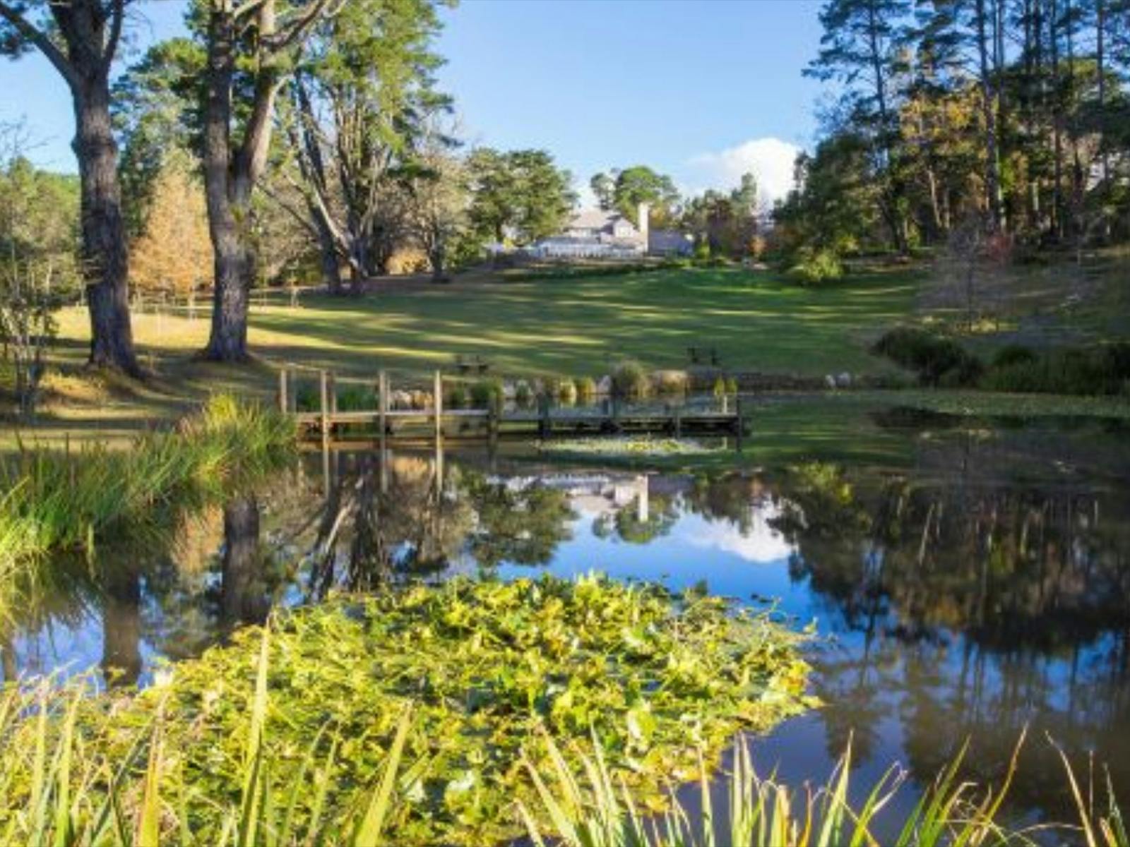 7일 럭스 블루 마운틴 트래버스 5