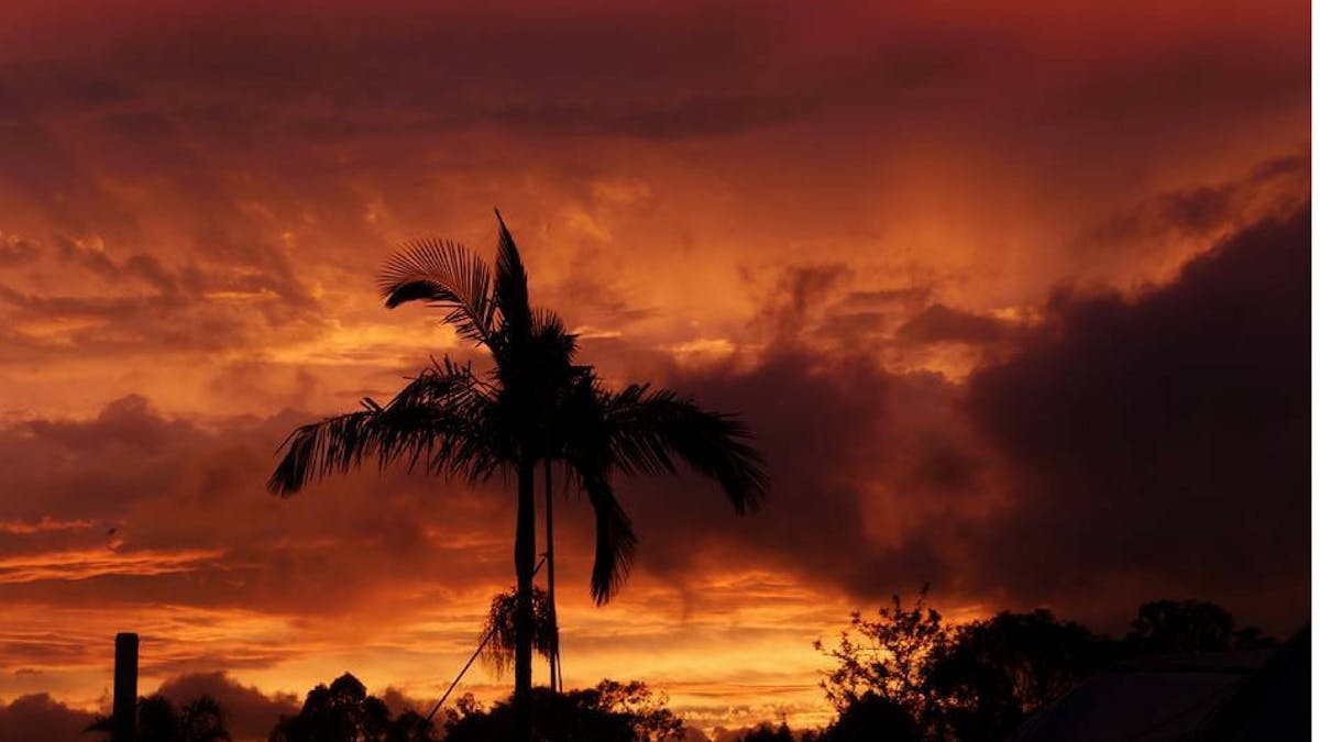 Sunset Palms Dreamtime Coomera