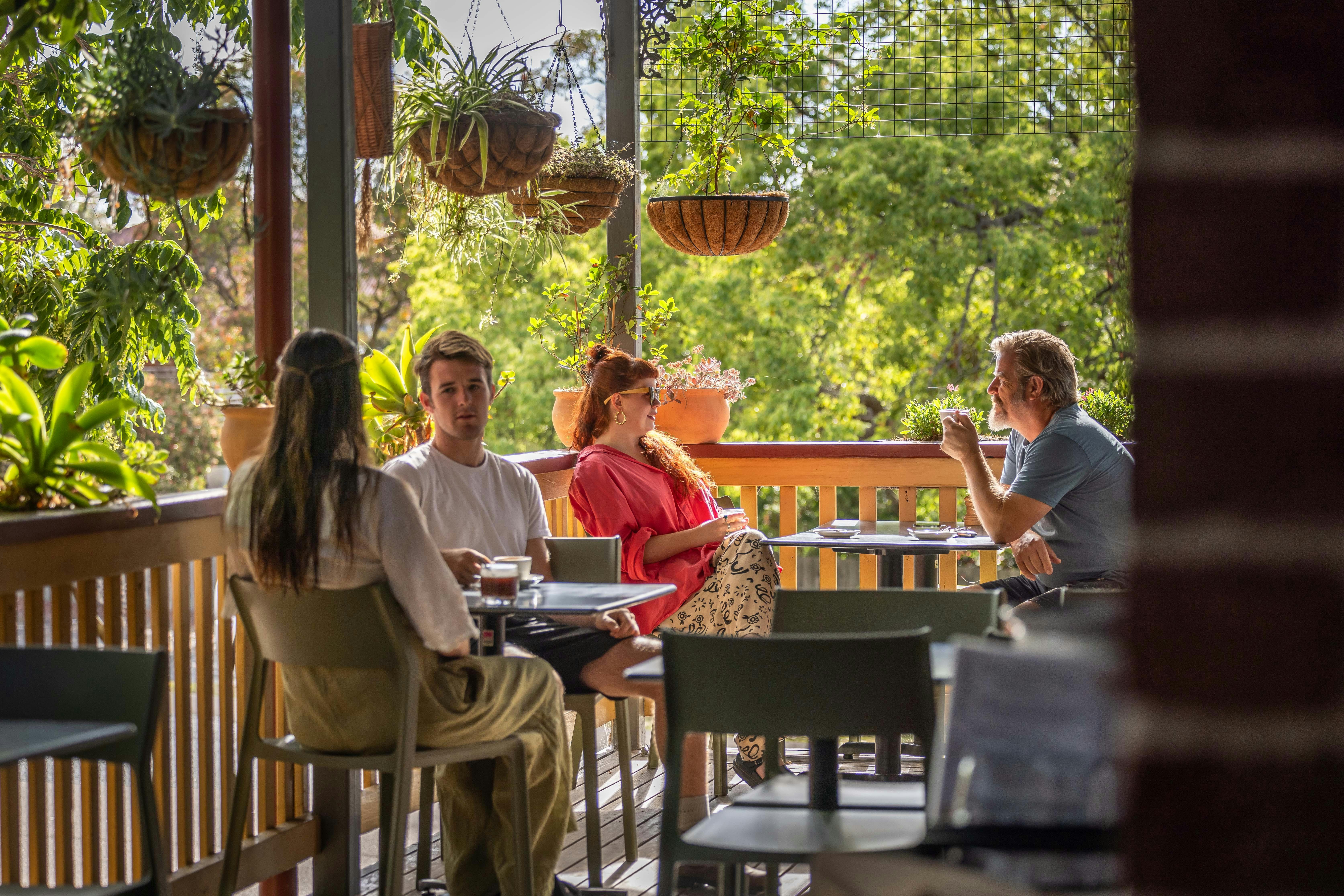 dog-friendly outdoor dining at toast pambula