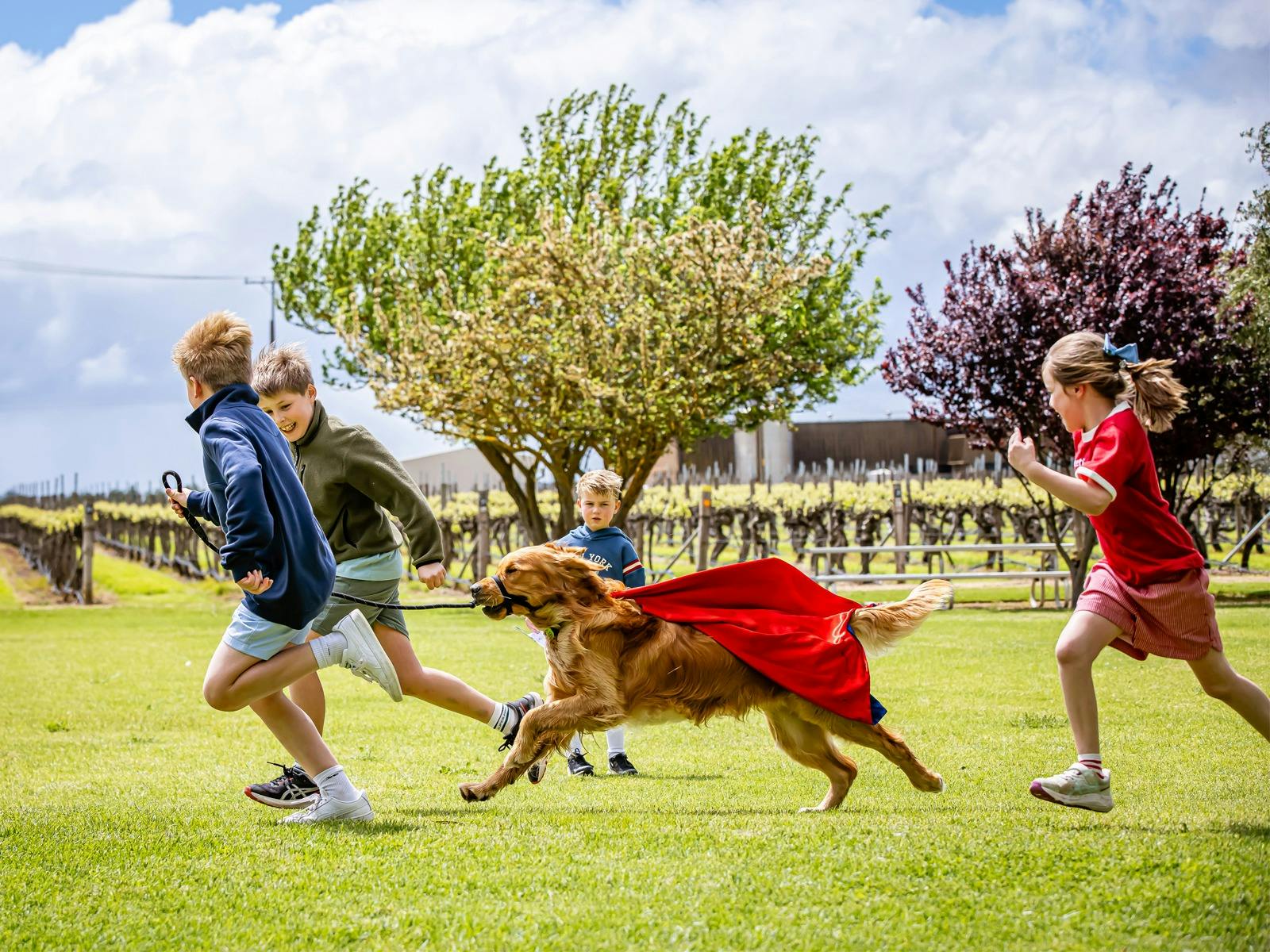 Kids run with dog along the Coonawarra Walking Trail