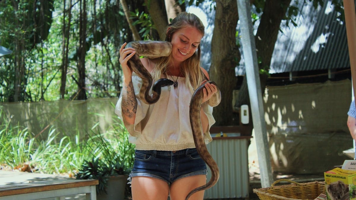 Snake