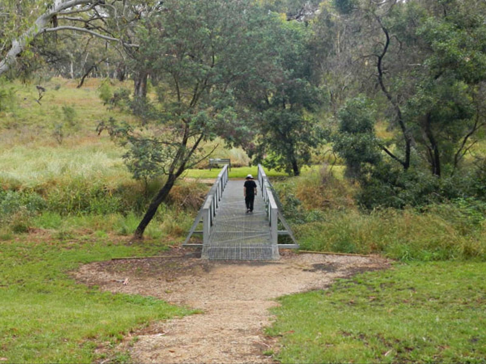 Person zu Fuß auf einer Brücke, Borenore Karst Conservation Reserve. Foto: Debby McGerty