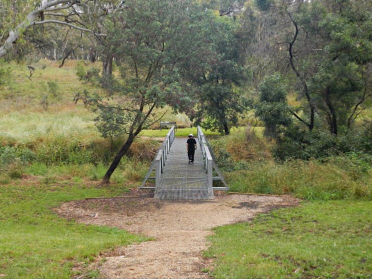 Person walking on a bridge, Borenore Karst Conservation Reserve. Photo: Debby McGerty