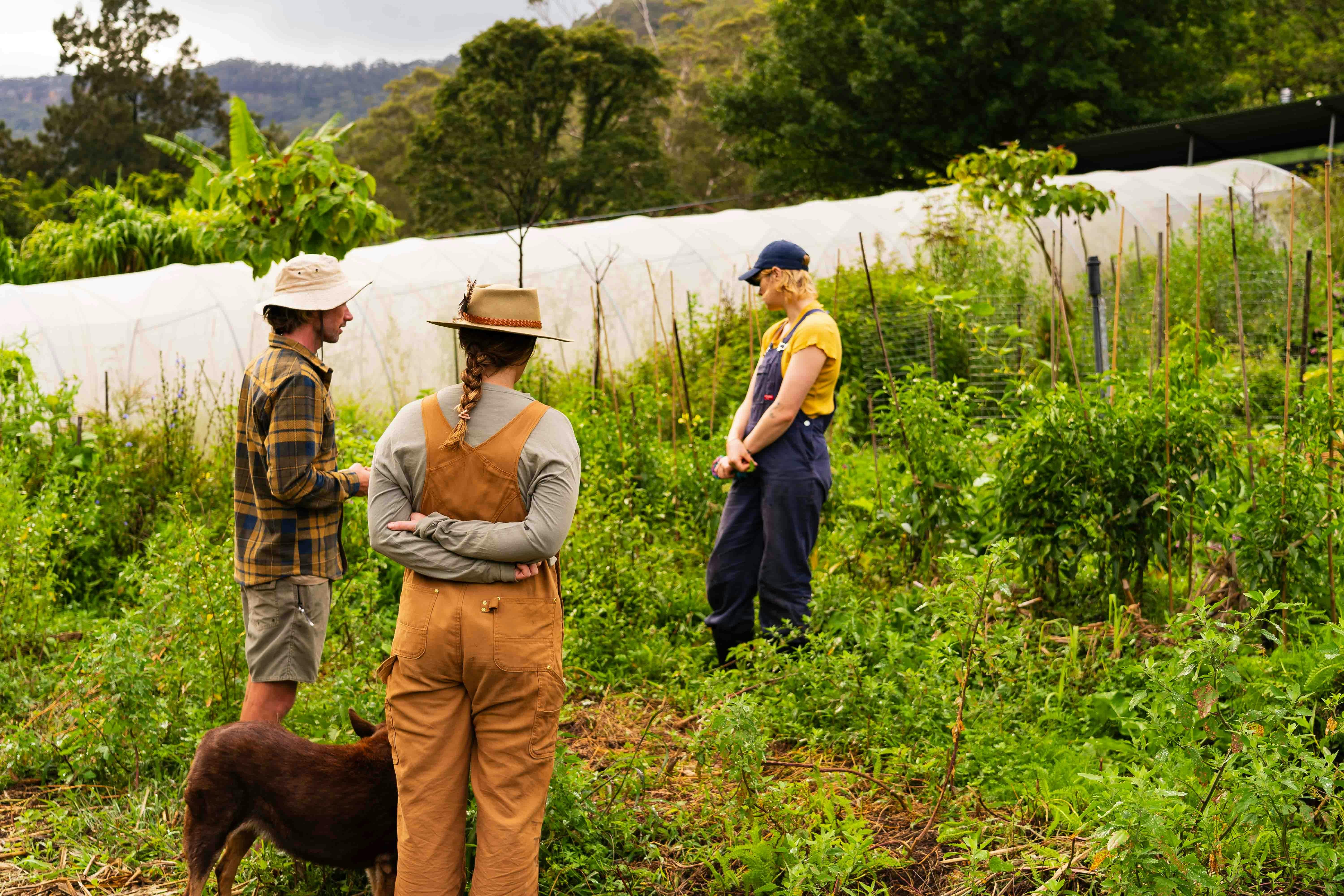 Workers in garden