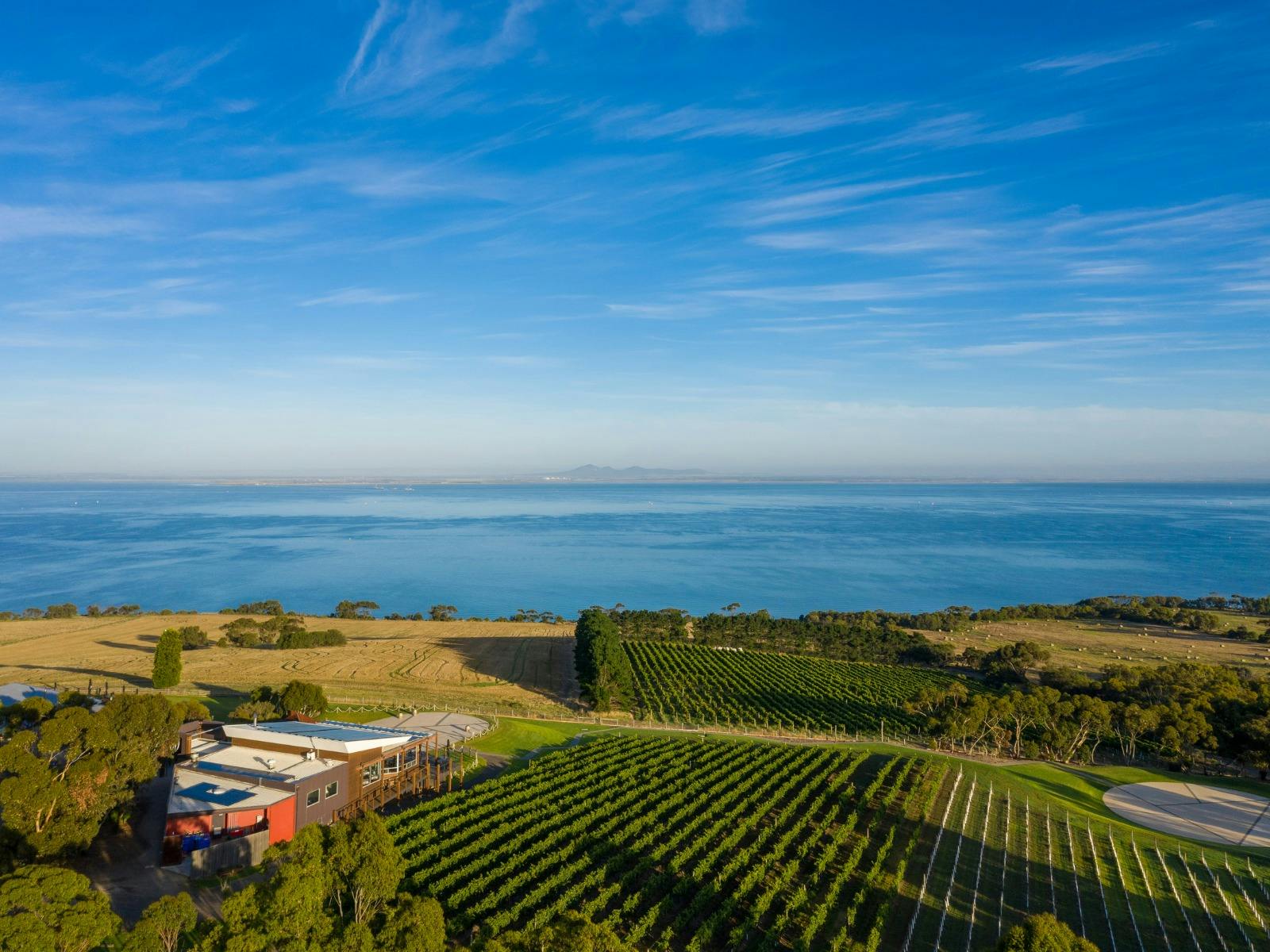 Jack Rabbit Vinedyard