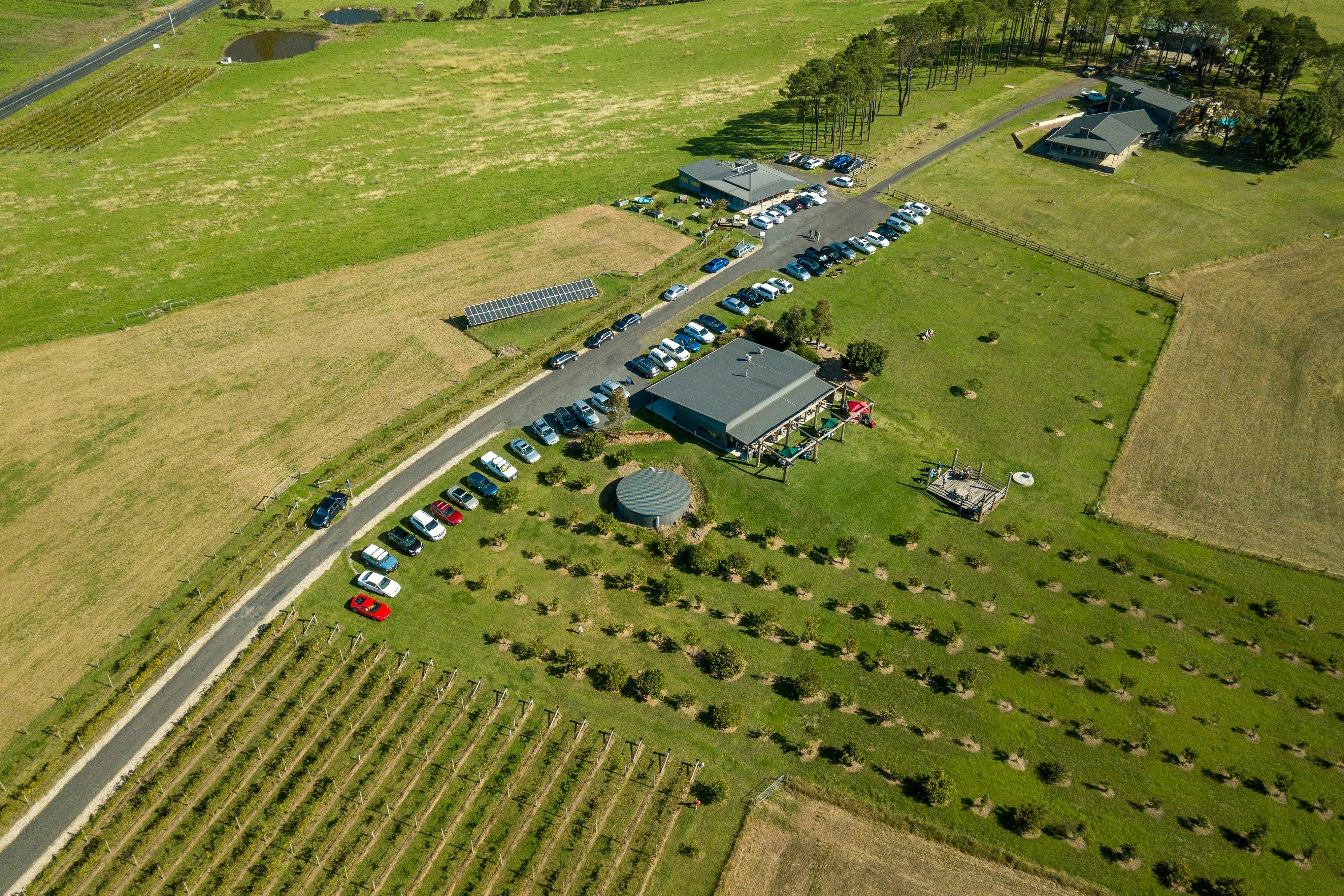 Mountain Ridge Wines