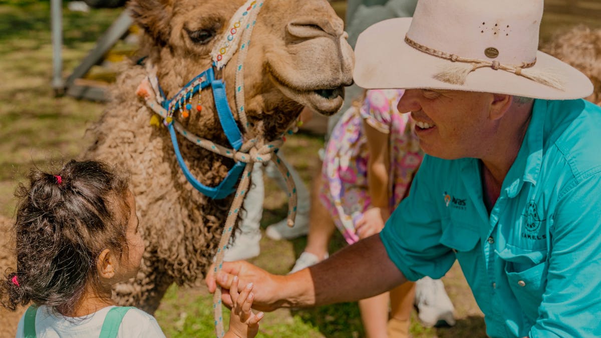 Summer Land Camels Summer Land Camels