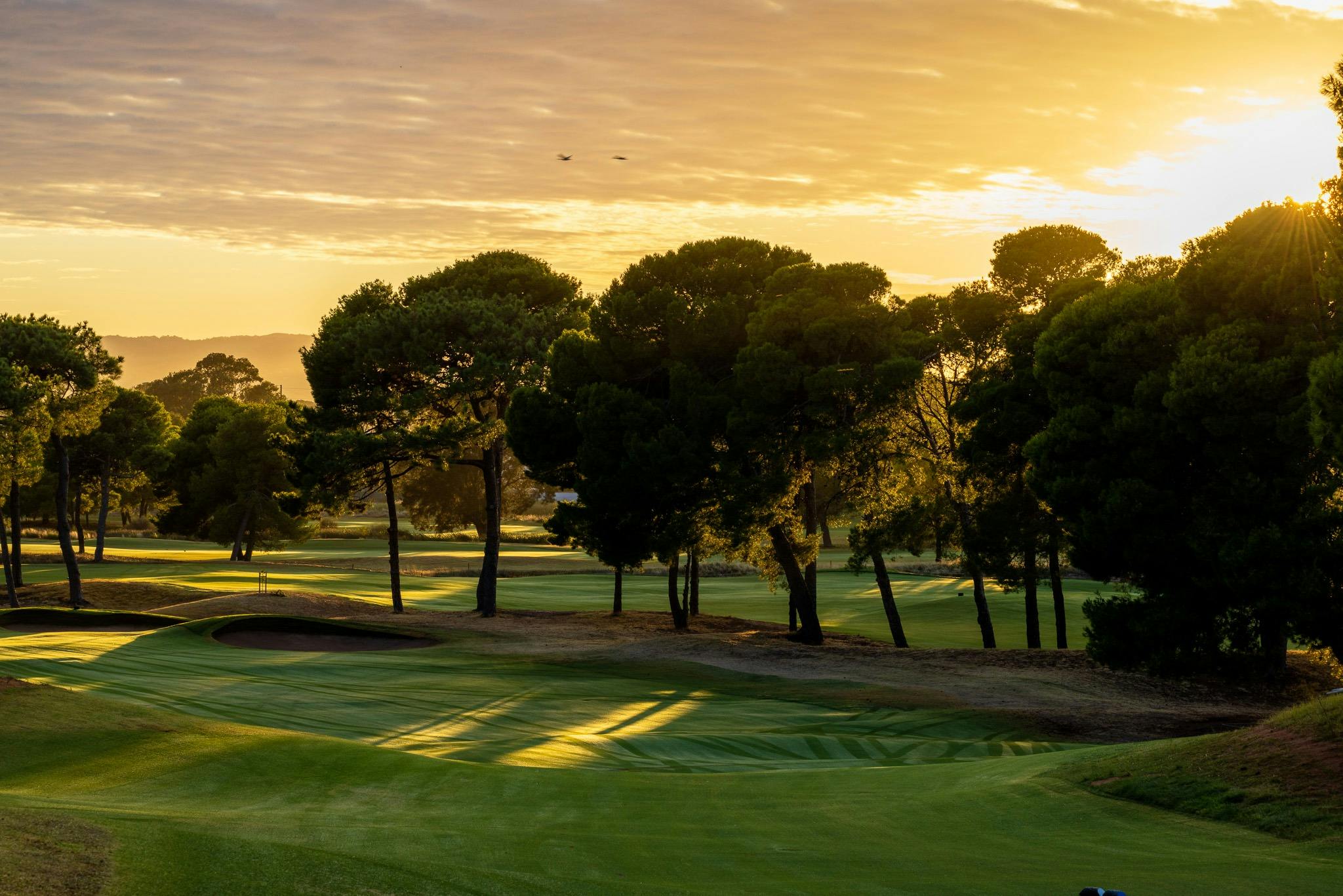 Glenelg Golf Club