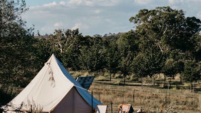 Nestled between the vines and neighbouring truffle farm