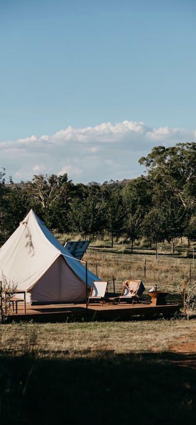 Nestled between the vines and neighbouring truffle farm