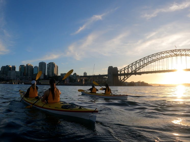 Sydney Harbour Kayaks - Darling Harbour
