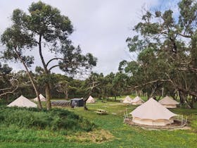 Better 1000 stars in the sky than 5 stars in a hotel roomu2026u201d