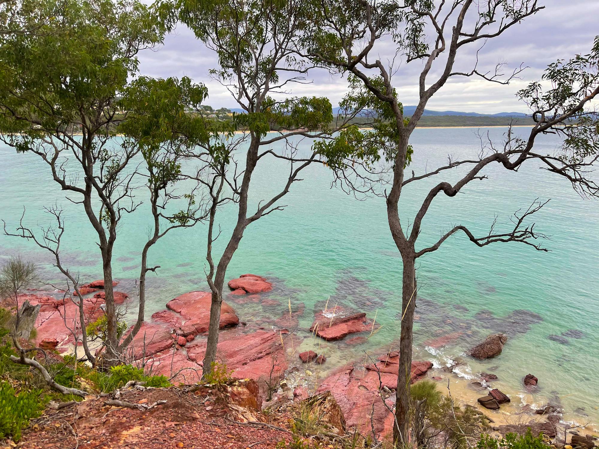 View thorugh the trees out over Eden Twofold Bay showing the aqua colours of the sea..