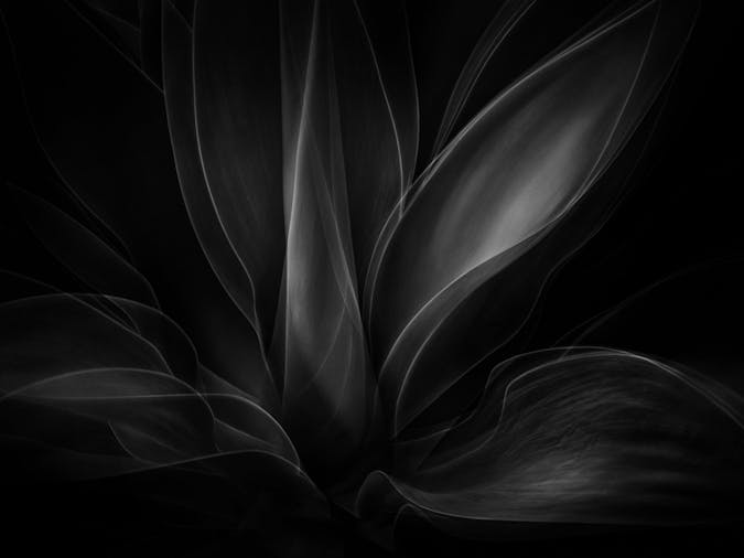 Fine Art Photography Discovery Workshop with Karen Waller