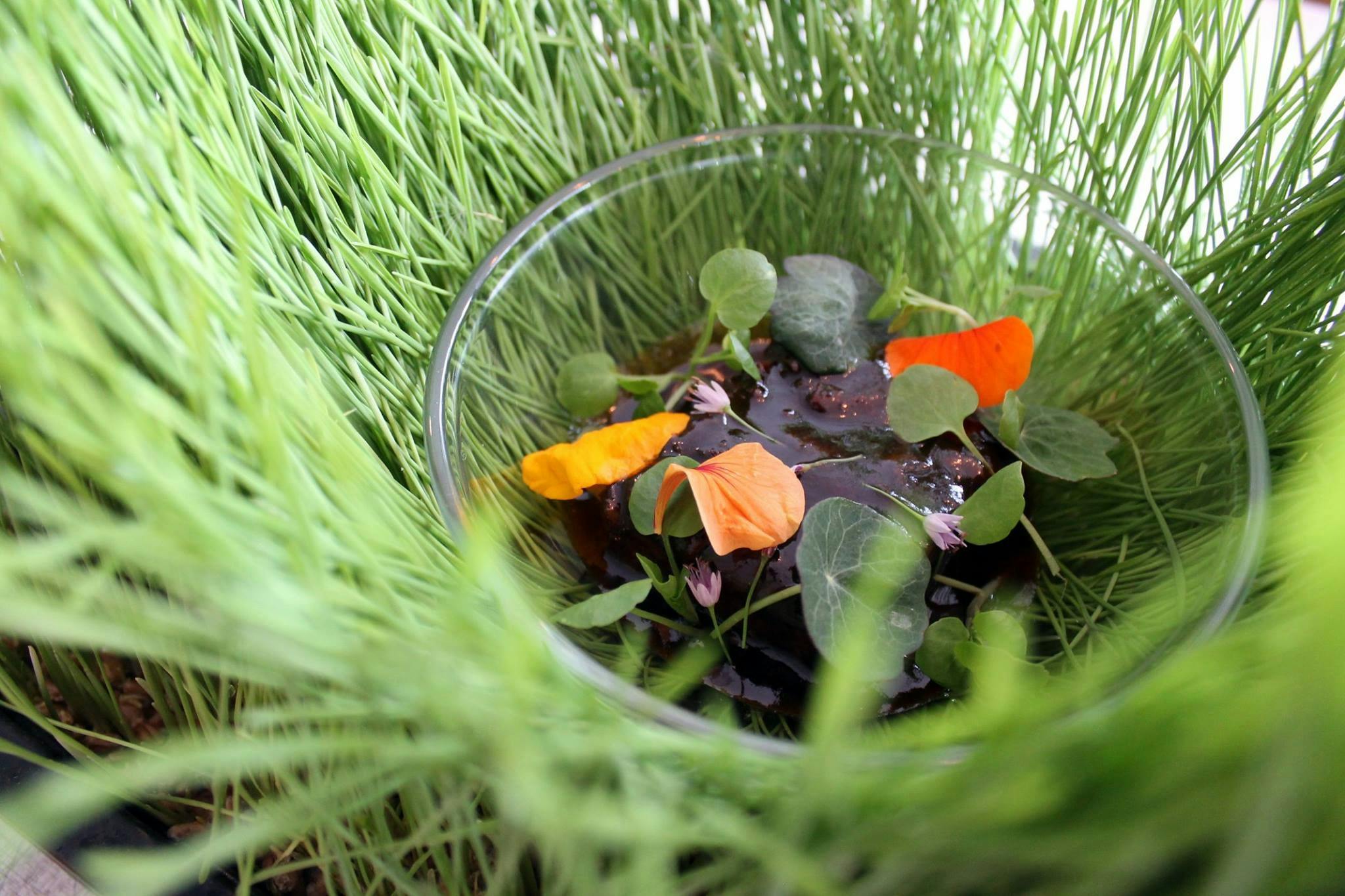 Three Little Birds Events