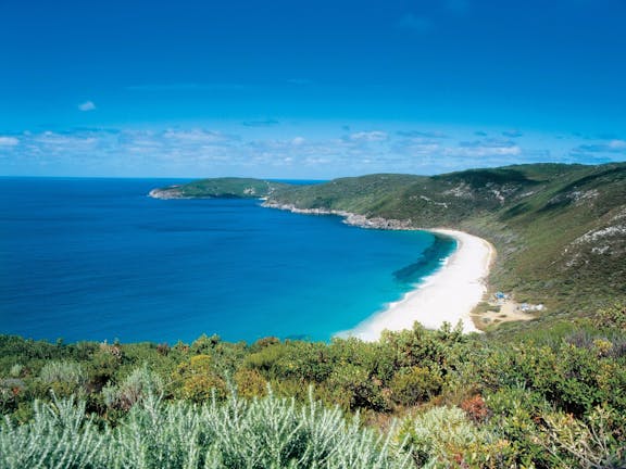 Shelley Beach